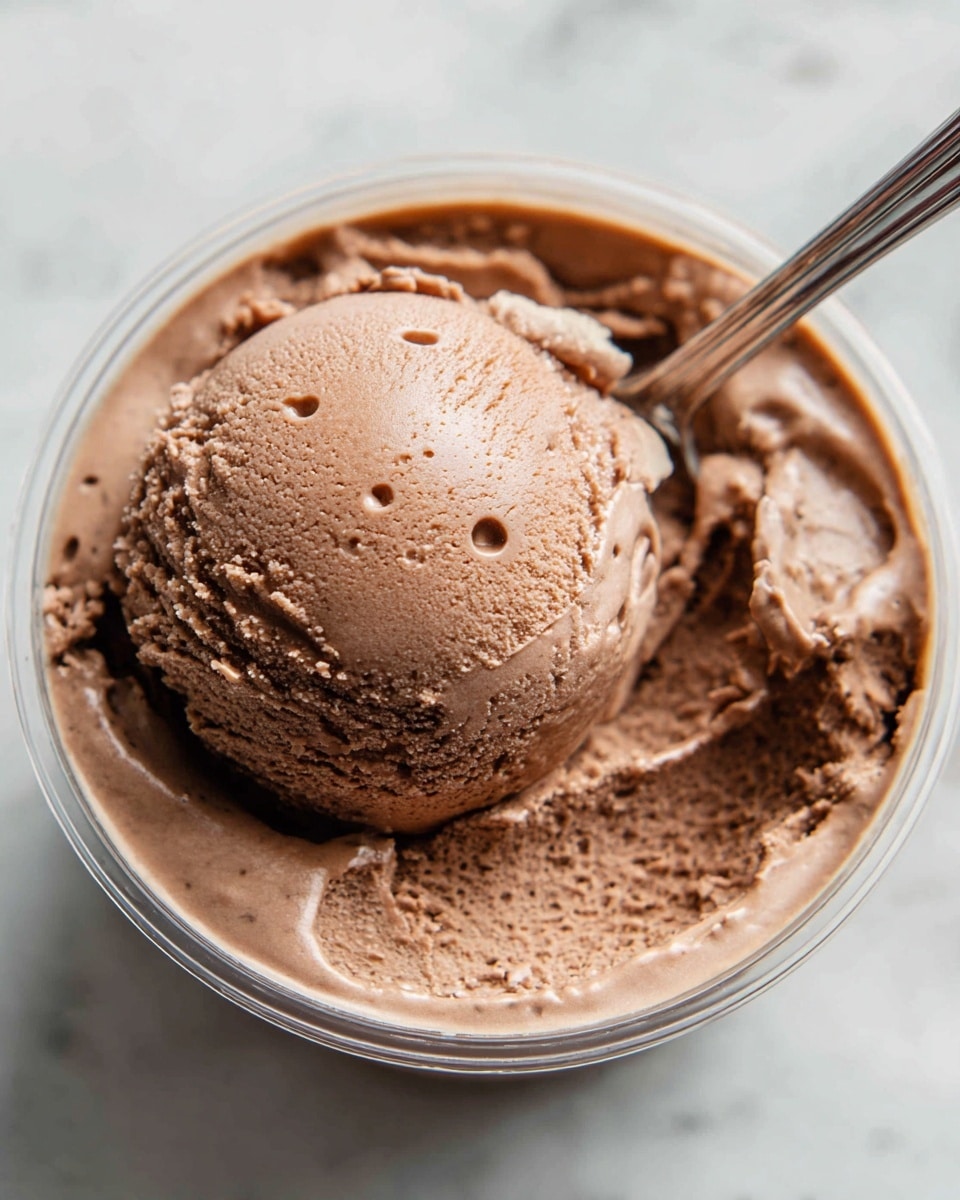 Decadent Healthy Chocolate Ninja Creami Recipe